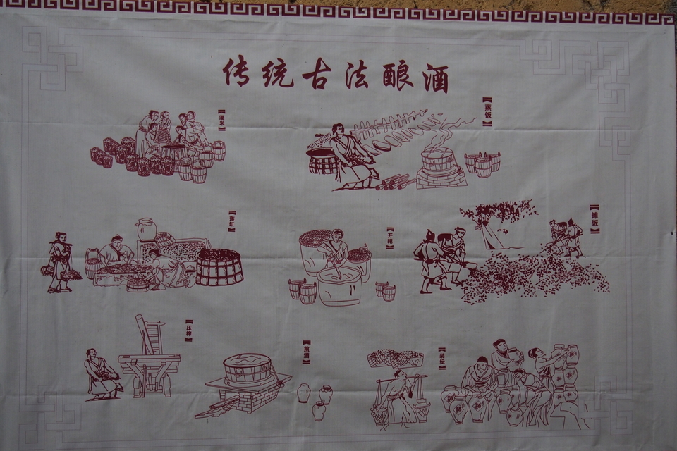 AWhkXk351ua3R6P6WEXqHLT3EBSVSoz0eRCpCNGJqOeHgcGSZzKqv9fL4MUo1kFa