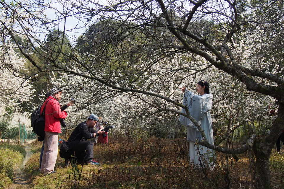 0k0zgUniBlH5cbsfPNWeLlp_7crkvo8Y3JHGJrUt2tcEXMirbVZ7N5VjDHT-ROVC