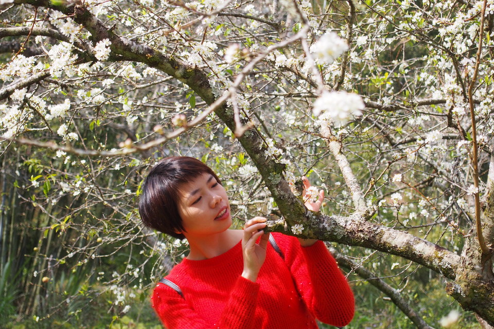 QpeTpj84QEQ467mVQZ6GEnDE08jTKRzxJauCeoTBrqGGCI6DkvUR1P5ZL4gR3TWa