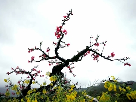 uiT7KnpTwteMt8AZGlkNsOZzc8IWEbXB7OiHyQECLRlLAMTYsZDsYrdaukZcRGTd