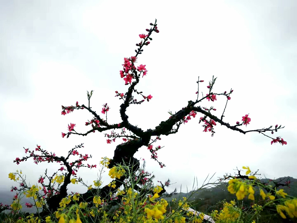 uiT7KnpTwteMt8AZGlkNsOZzc8IWEbXB7OiHyQECLRlLAMTYsZDsYrdaukZcRGTd