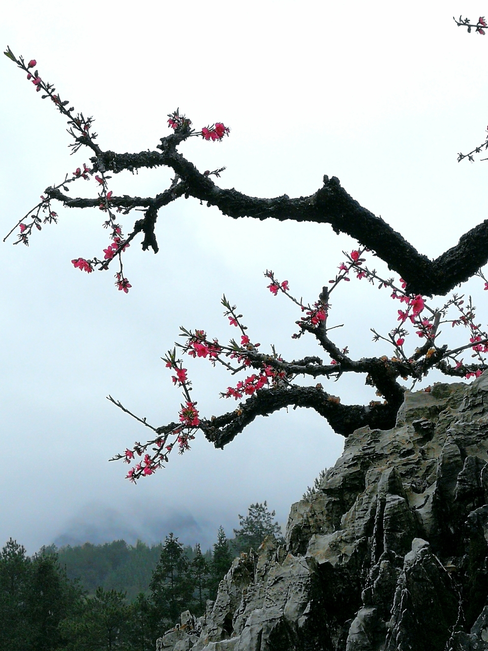 GNSWvxuv3aWBCKUX28ky541QvZgUTvNUbLZgaDlVrx5_zr_cSglWNDK5estAwI3w