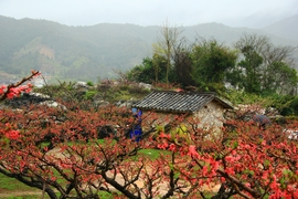 roc-CruK-9cMXFJwE3d1jVv-UWsCIADBBa9OimfsregKXJ8OuebCnOFzu7utsGU7