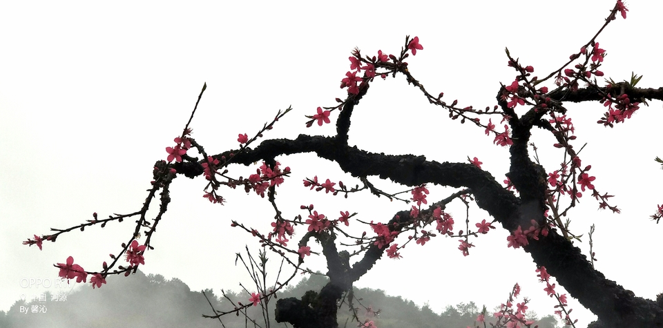 1ZwsoXDuVn6hHJaGY3IYUp0bbsnasshNWQJ2lU77lhW1PvH2kTVsHeIw16me2U5G