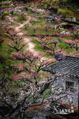 SwnoAF32akQ-AdhseBu4K8VRe8NBqpt2d128zNPrBA3CeqvCqsjZGXMyw7n9EA1G