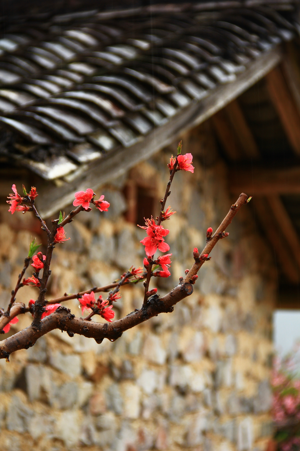 AlH693dJ_epHm0NjOLqEhxE40yFIMO9kNTXhVTgLHMVXktKZOEqhpjqZNyKmJFQv