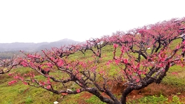 s80yd79nmw7eY77Mi0cUUzjCHFmfK7NLDAerl-ll1GaZ6G8aiUtpWv8ANyyREQYO