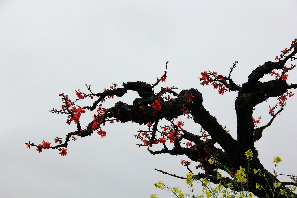 N7n1D7fczQxlCcViFob_-C_dQCwEOqUCVXNd_HqVfoVAlKd9pQmhwtEr2kURxZY-