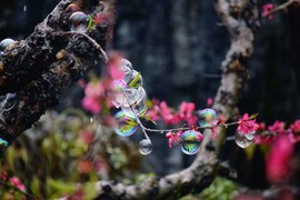 U7_Qw4QsK02EKg6HilWjEqGbrJ1fn04v_kIiJXlYtmuDr7v0nXLgEgVyJ7z01SOa