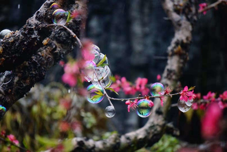 U7_Qw4QsK02EKg6HilWjEqGbrJ1fn04v_kIiJXlYtmuDr7v0nXLgEgVyJ7z01SOa