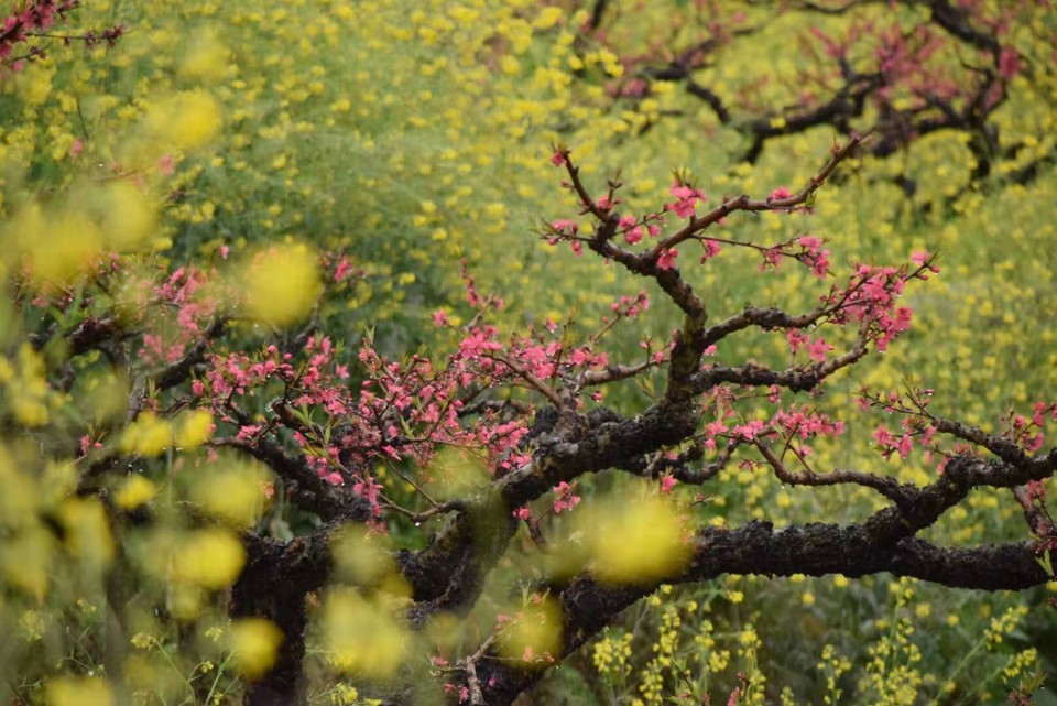 EDQeeliKQa3x7kOpYTrIixOU4aXS0Cl088FfvJbnijAL5VXHEm30XuxrEf3WpGZo