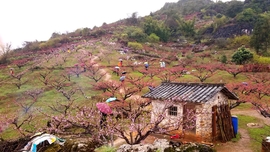 5TWKoQuHN1lhoLrPS9GBw1wKn-eimgARfYPTLr-ZlpoKDFZuFOtzDz2UlmMhYEwN