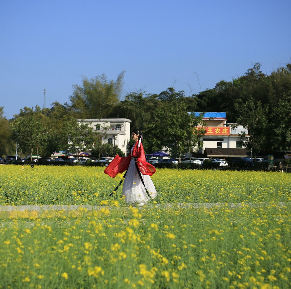 wcHE2CAjfeBjGZ35YJ5zeWpkKCV75niP_52YNynia-4M7CYzcARGNUB6zXEEP1gW