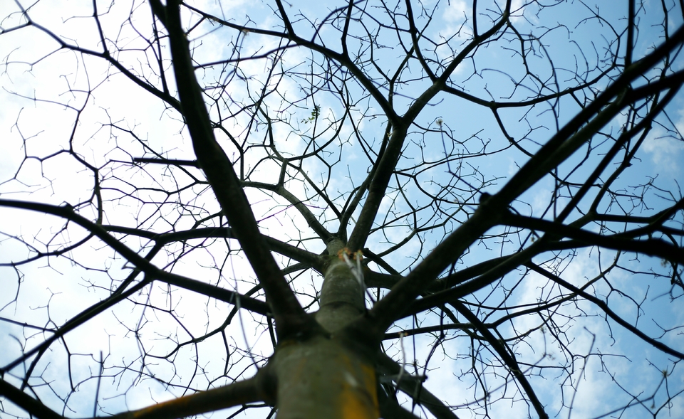 B7jghJiYn8_dvYABl7g-LY5xdPPUNquKRZrIPiiv_tNS3RsmT2d-wwg1gWeJwfMU