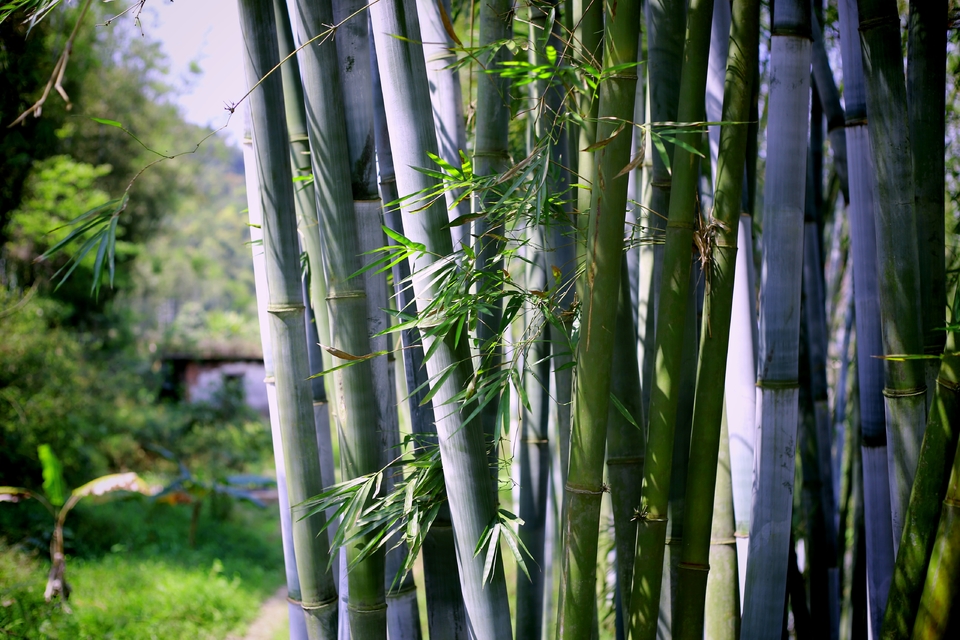 R32pfzL1hAmK-qJGMUR9WKWOcW3xSKmQhtd0umWBr7xFj2lpki_k5FAfbuNXBU7g