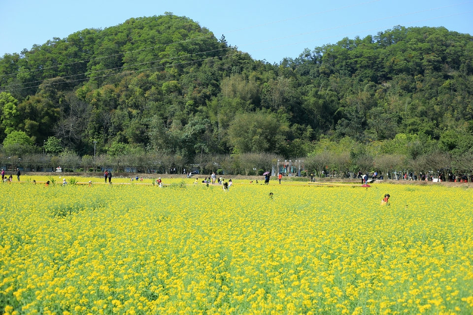 IlWzlvmvsJr7yr3uNLUFkC4LlBy4qZOrRJEoa30EghRA4egO0IGOA_wr7s0yJsCh