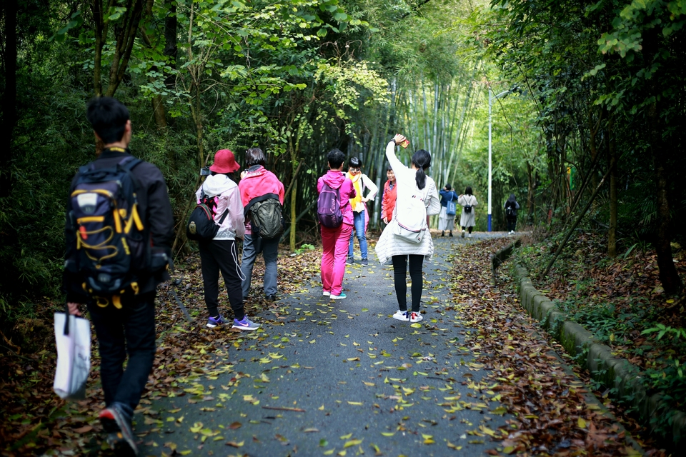 TBqlL4AiqsNivl8JHlsCu4F45xrmGQL5upcAyGTb8GOu4L1bDQi3rkOX8D0r5Lhh