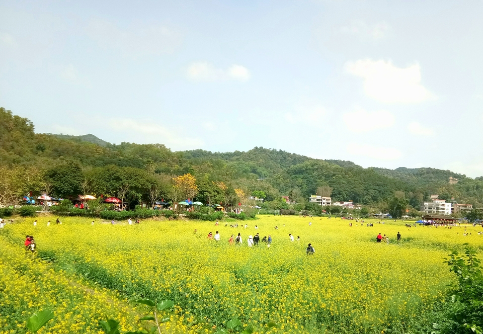 H5567q1Ih94d4DrpvV68zIeH5rKbZ0nhHfpJXGSVXhCC2EQkFbpUDglGKkCPdJPy