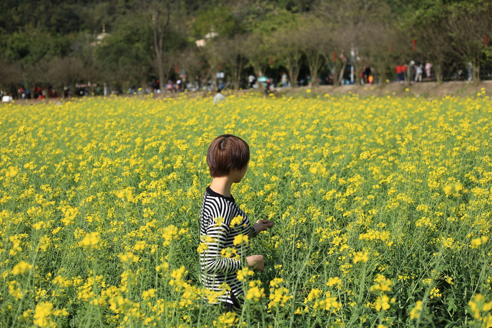 jVWWLtNB_awwfj4Ek8AN0xqYGbkIm8bOYygo3yIFFg1owfy9U_eoGDWAAVUyBIuh