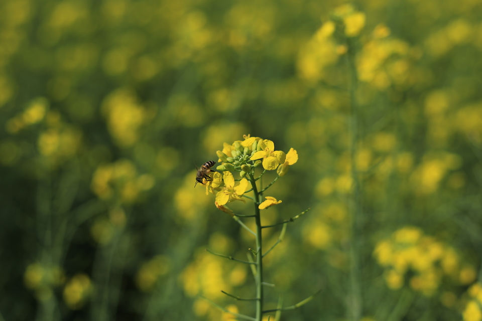 dovClBhR7uf0JncbhfNT0lSzTp9v2IfeC1CMX_1TFewahzWQ18xv7SupjOu0l_5A