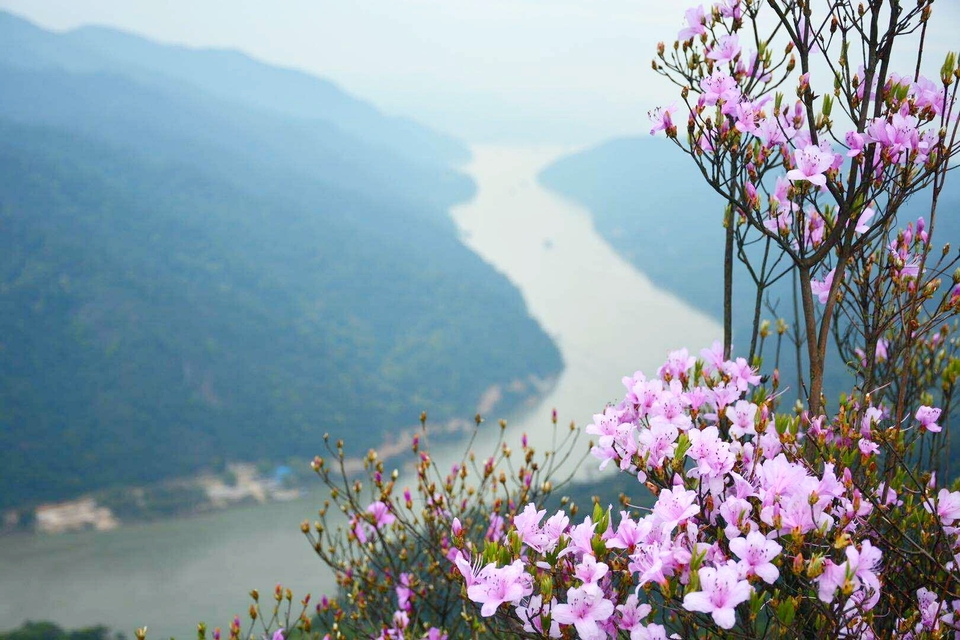 RcKOemFgZaeuqhhoxBm1uvi7ng85xtu-HVpOnPeKytO0hMwf84ZY5bdIhbsqfm5E