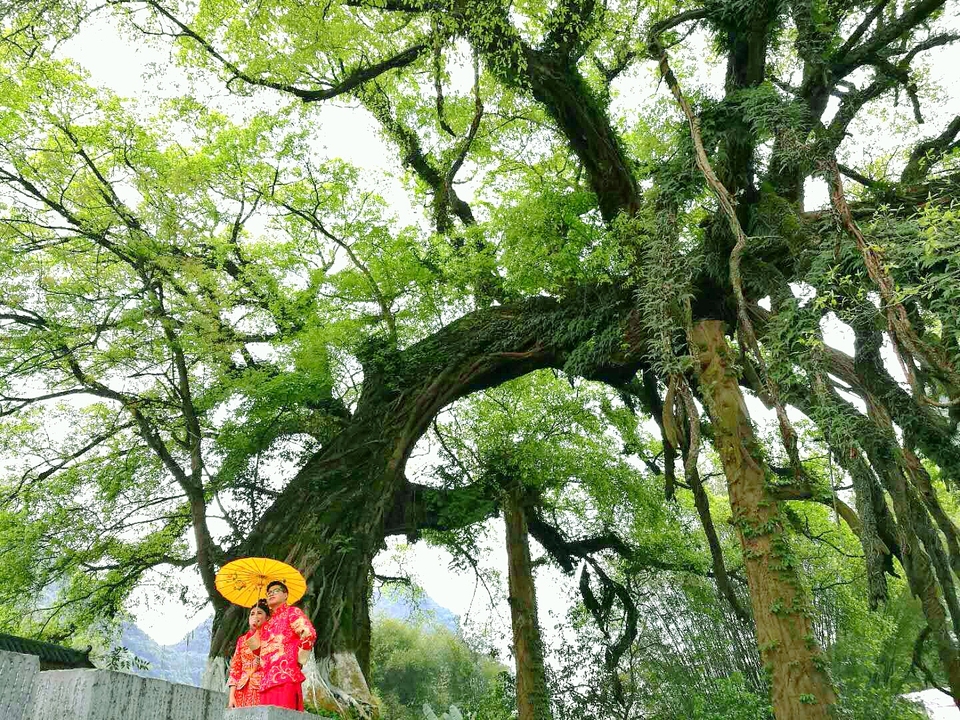 G7DEOuCYgUbDD-hV0rv5zaulUKOveVRrOIMyqn1Pemea-VfMg9pBAO0JcrlGllka