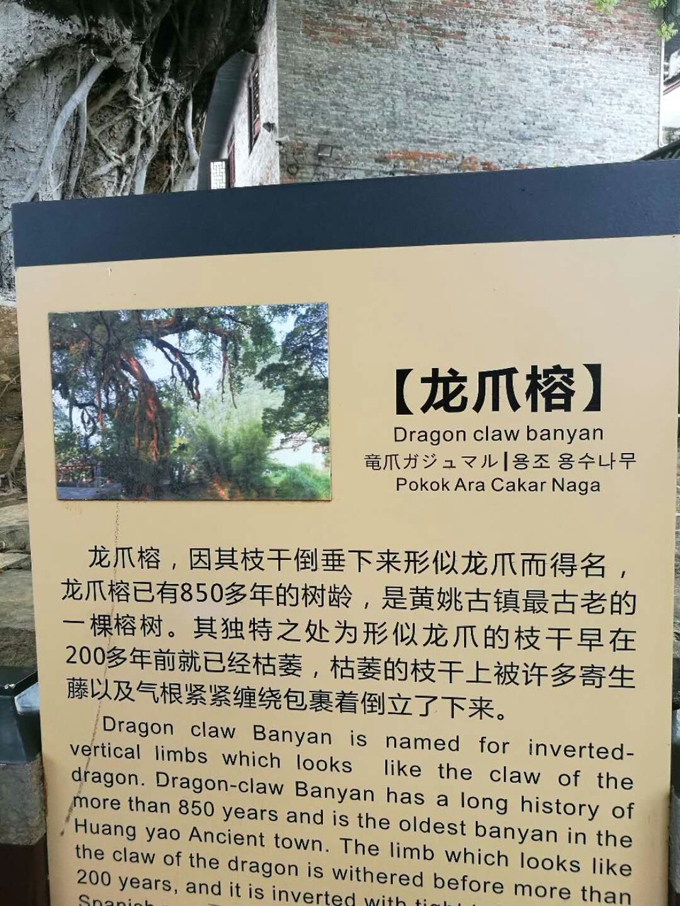 NGUD_cMELJ09CIDHMnqUTKXye_Q5Ada_PyajFizAPnlOWM-rI-Sp-q6GTvlOnwq1