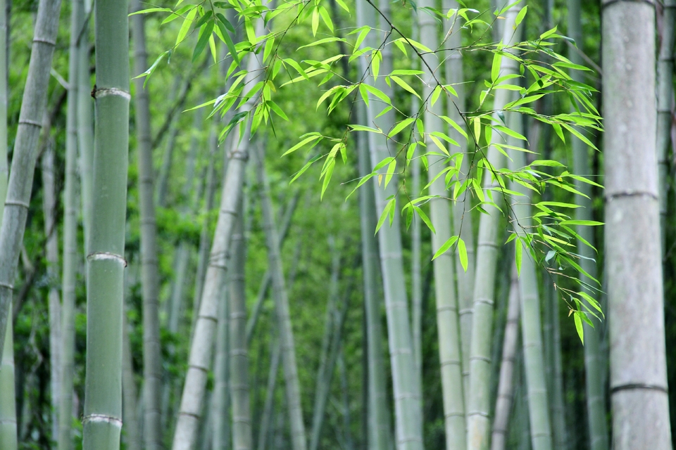 pPuKCWb86cSDEjD5YJyn2qlFKb5wMvnf_GPtmLnVlODMStLKpzB13wDffAlrCNeo