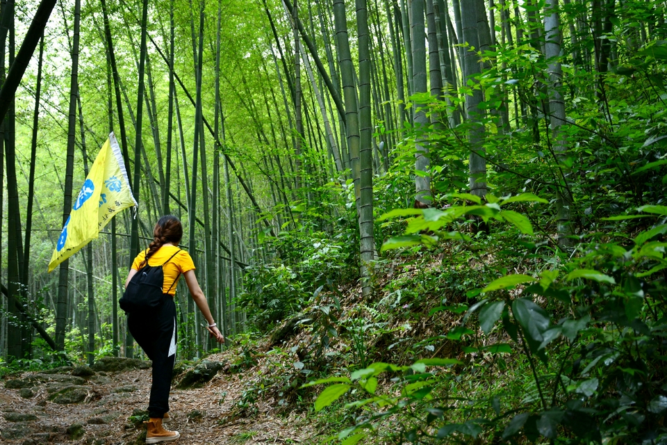 7jo1PFb34Mf1Z9L713uUiXvkHLFVkSlz2t3lVH7aDwhIgGsF_kpx8P3SW4aFtNeQ