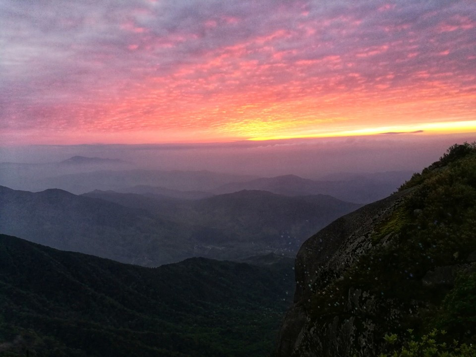 mmexport1557395129079