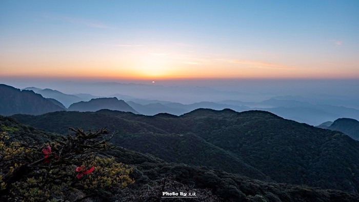 mmexport1557395099281