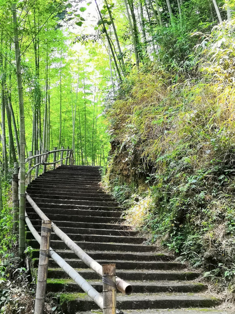 mmexport1560152103233