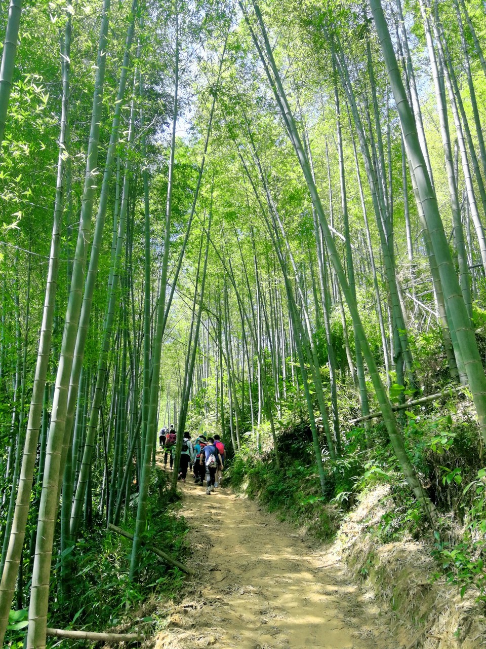 mmexport1560840693918_mix01