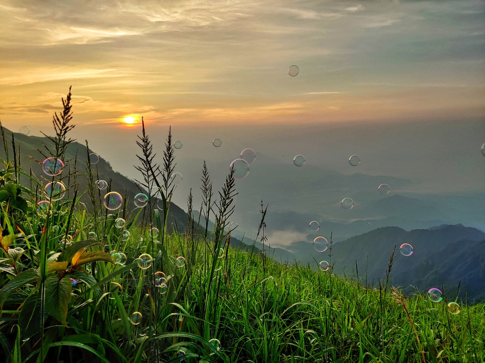 62Y5LQai7Em8wLqzYg3Dzq4JciUwiz6lBLH4dGMICt-qR8ehYEsnTEXo9C4egrMy