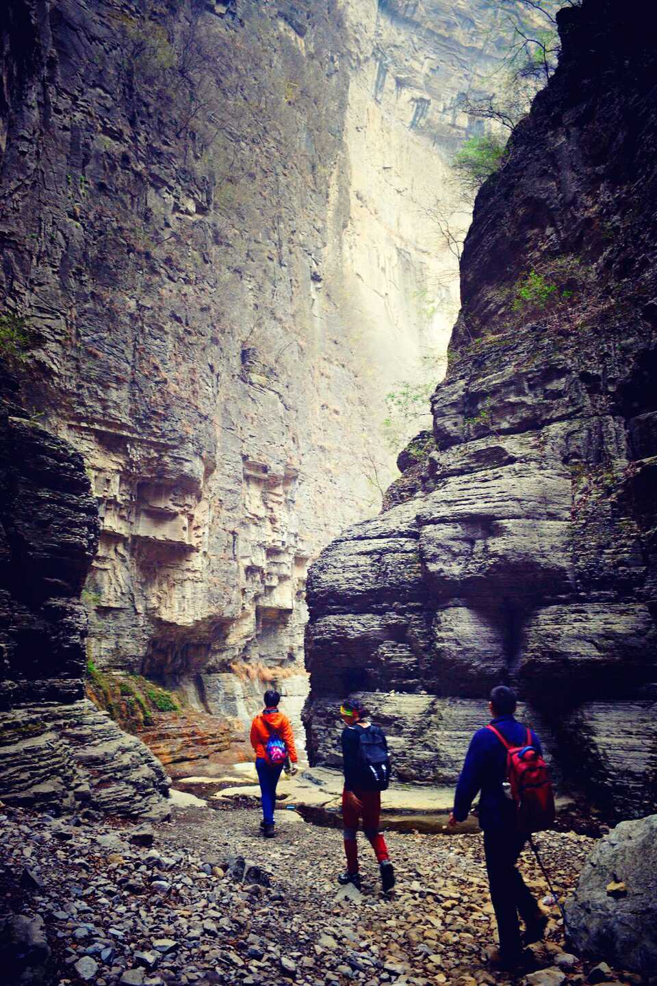 R-JILgLnqemO5fsfqD9RD2-C-f0zl9Q-zRTm068u0Xj55bor0nTlbV5TFbyWWvSX