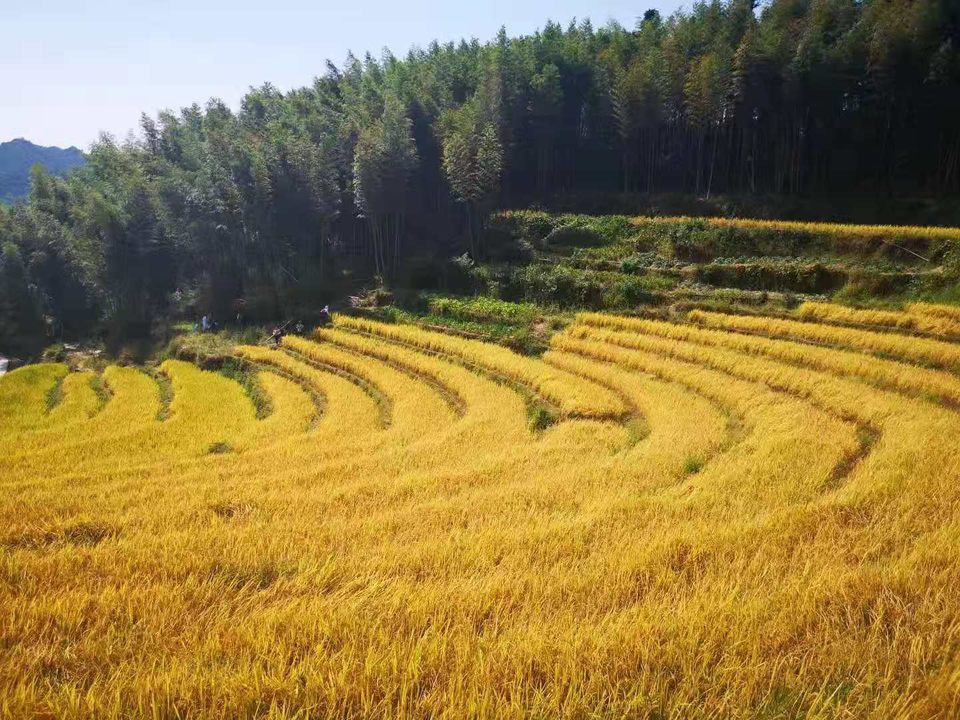 fHgr0r8ubUBFZyzT5dO63BP_KBN0Ljx7TDJRXaZdqsxHaSRBlLqkGb1h4Dpo4lqa