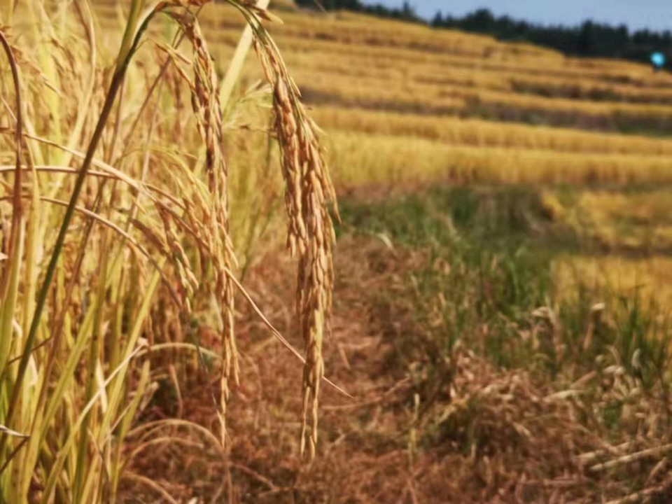 IPKNe1waG2nPXgOjiZ85SJTKQPfUI2apU-zwnuLLp2Nn5ts1nISCIyJKuzFzlX_0