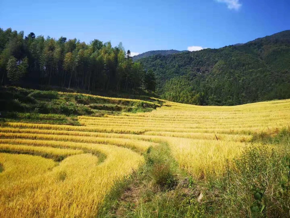 AvgfSliPkwUww0iYuvMWXGeZCAerwEExt2eh77CzxpVaZ9E0c700k09bIVq81DEn