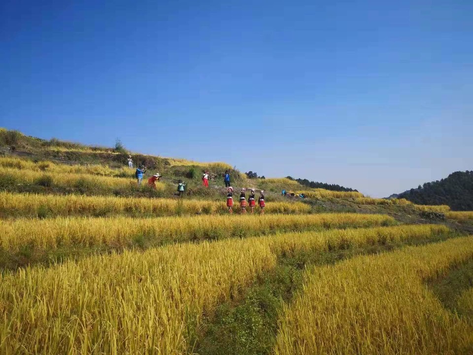 5LHJ1eW9Prc4dPhCcRO3ongE9L_jr8Ya-sO8D59Jx6ceHoMkejYVhZCPyE_xRg5Z