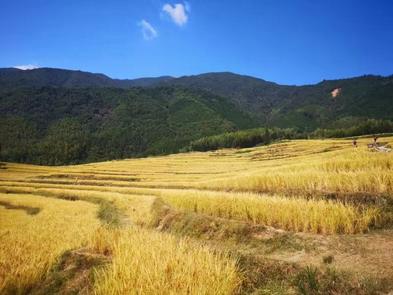 wxF8ZJFsLK49iLdlOFr_x8hbHMkCCmYl1TL2r4URssnd3qjK2lP5a4Zn33EIamkv