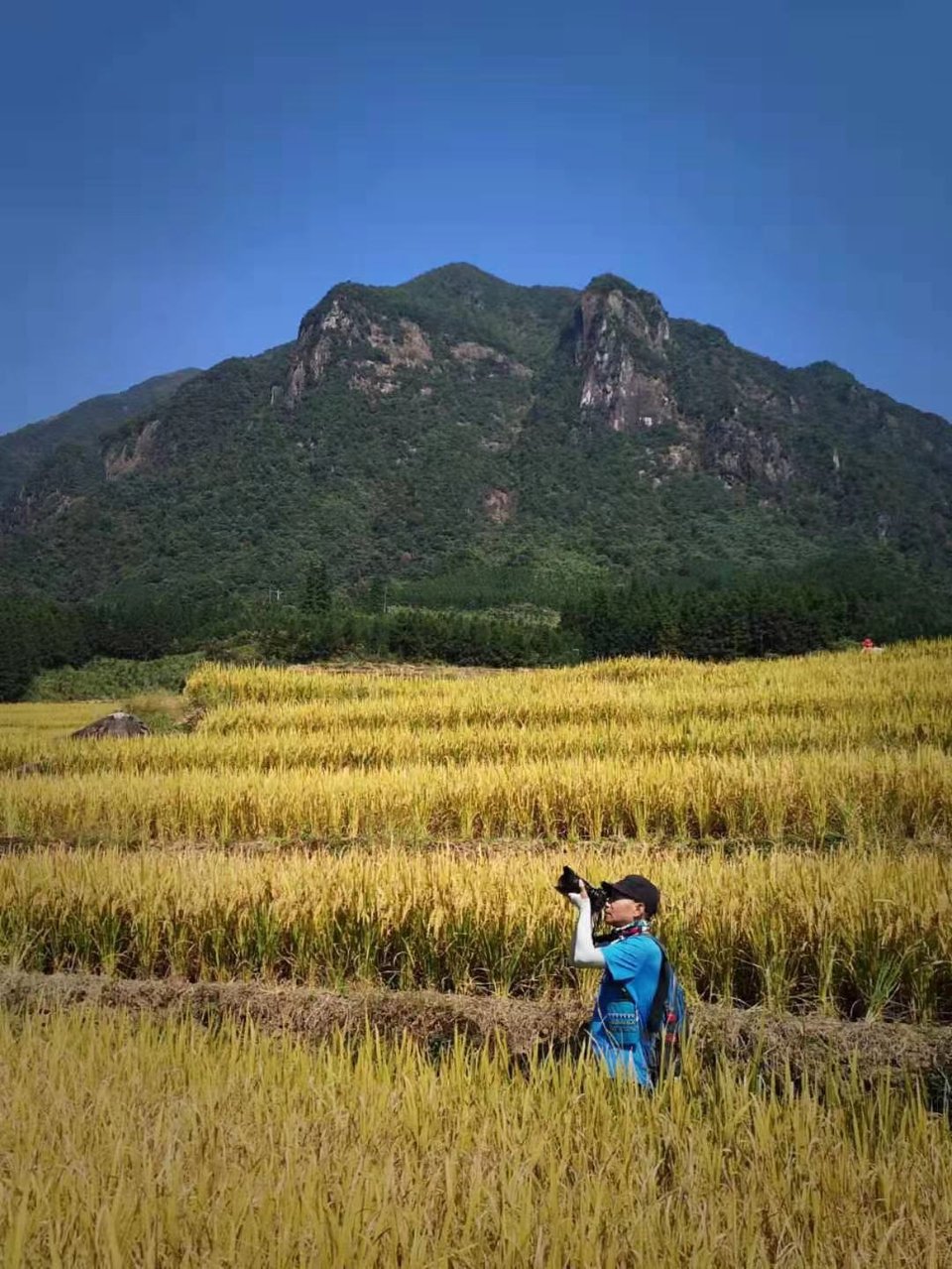 TwwDquIUY8Y3A43LXvkzAZ1aq-jIeAK0Zs3A9EZlJ0M3hgn3SGkmX-hWHlkdqOD-