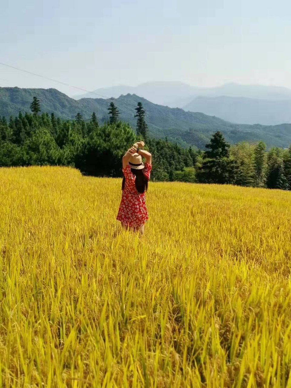 UcqOp9hvRv1Wa8sH1AUMc-wUMR2CntZXUXgdHqvOUB6hAg5CyqXRCJ2DbPilizay