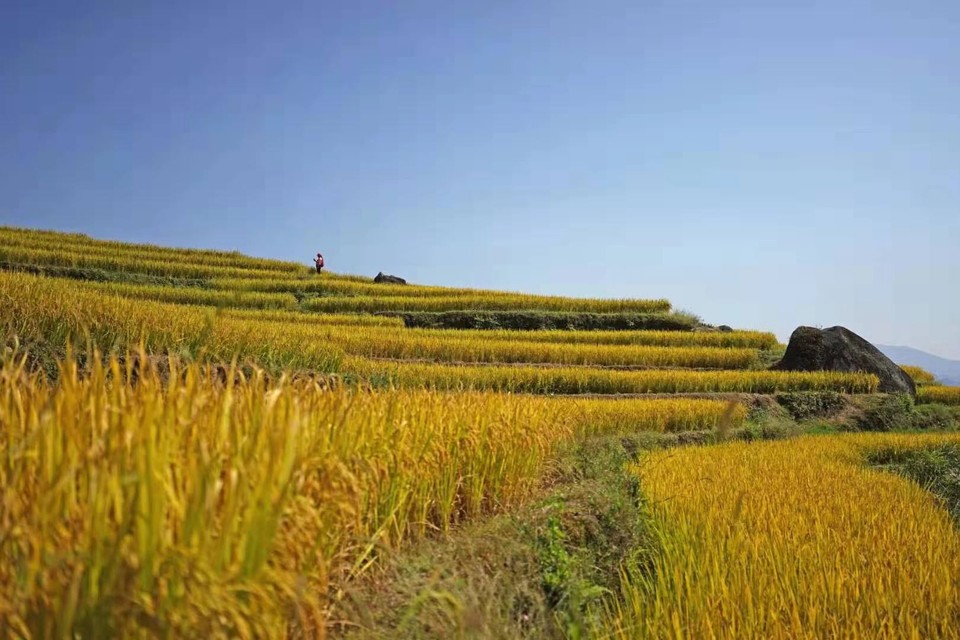 IJBAzUncTbN4P-eVp6aZkDOxUj7Sg6EOr0tXFcAT-GIUBqwv1Js6QIffqmJT5jlq