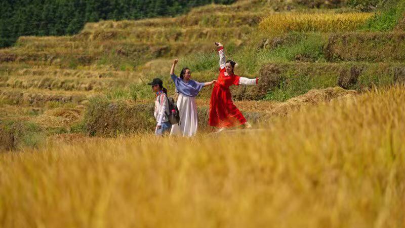 OwZaMEx1lOCME2Mgxi2aBhRQ6H_U031NVFKG27FV0INjOs7oGqzO08pZRVpOmxZy