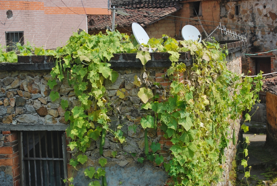 XJZbl8mquR9d-kfSKebuFTC122uogHMIU_MAG87eNn-sMuyh91YPskS2aZMizkNI