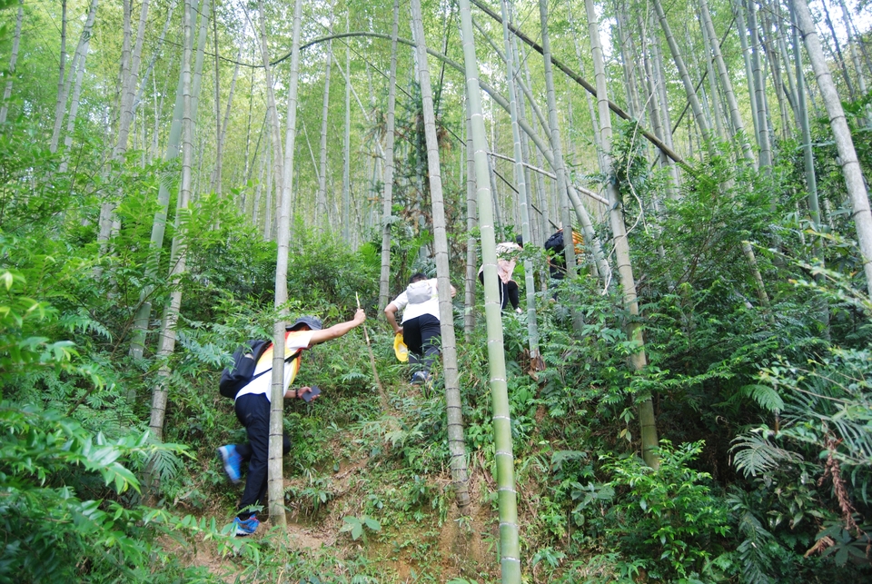 gHDbYsuSqO_jwndjAEvVIJQPFiG1lbpTZ25dT7mPFDJ3heDb38UlIQ4fRkDhIbSZ