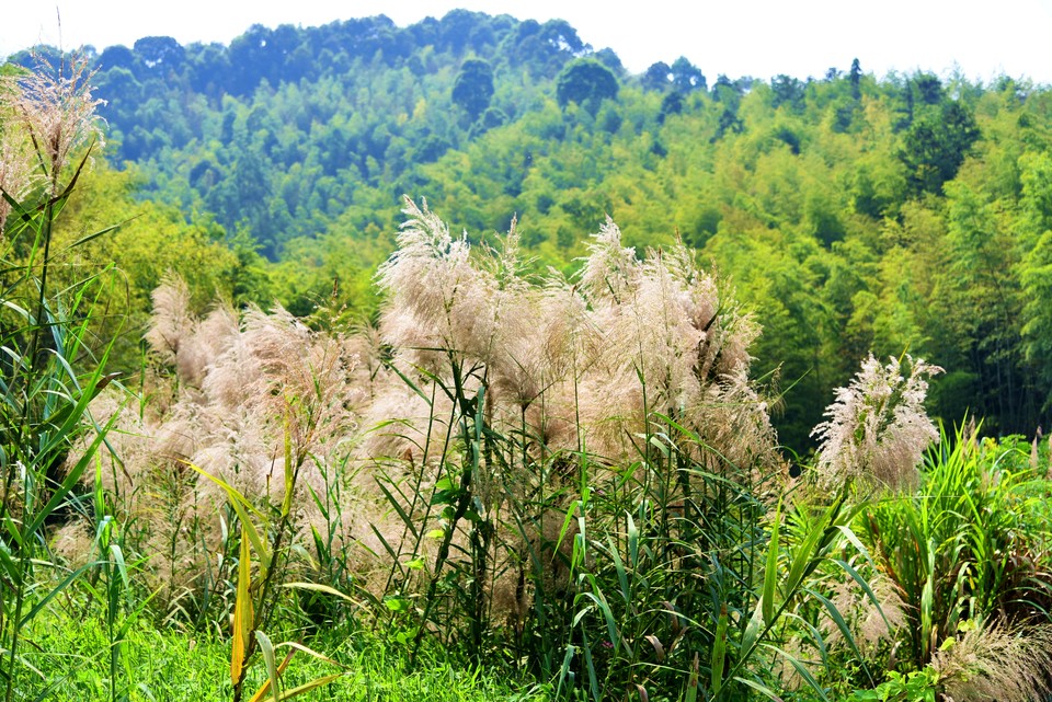 MqBxNrDotW29hWy2Zrs-OX1kUYpGeFENYphhmJRGMGqfxffBQnERAdxgxUXnyC0j