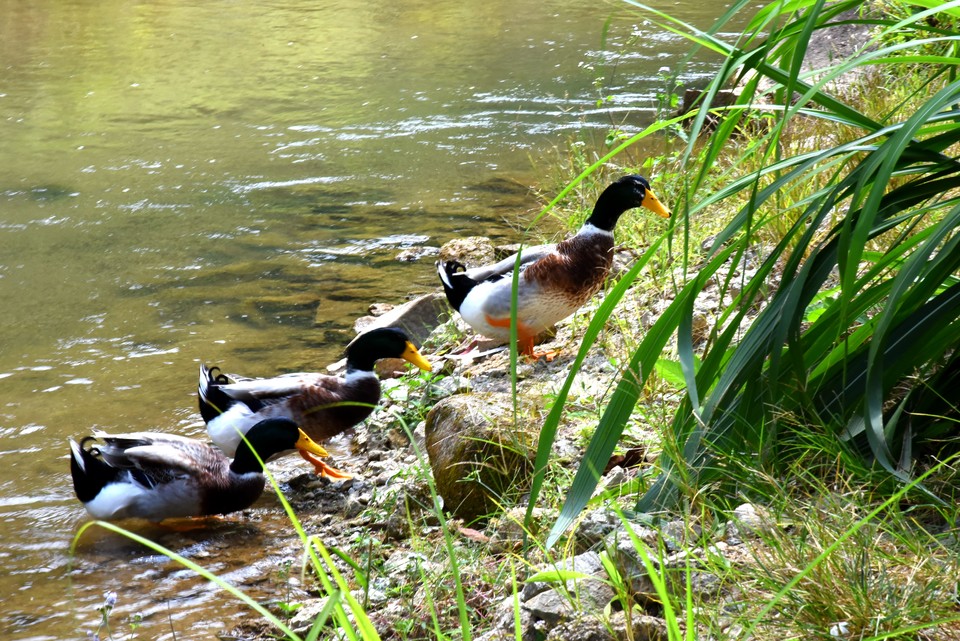 jDcMoXVn4JYvvxDWfmDaeMkIe6WJHDi4bzOmgFsj5OUc496Hei6xSpjgL7_zTkBc