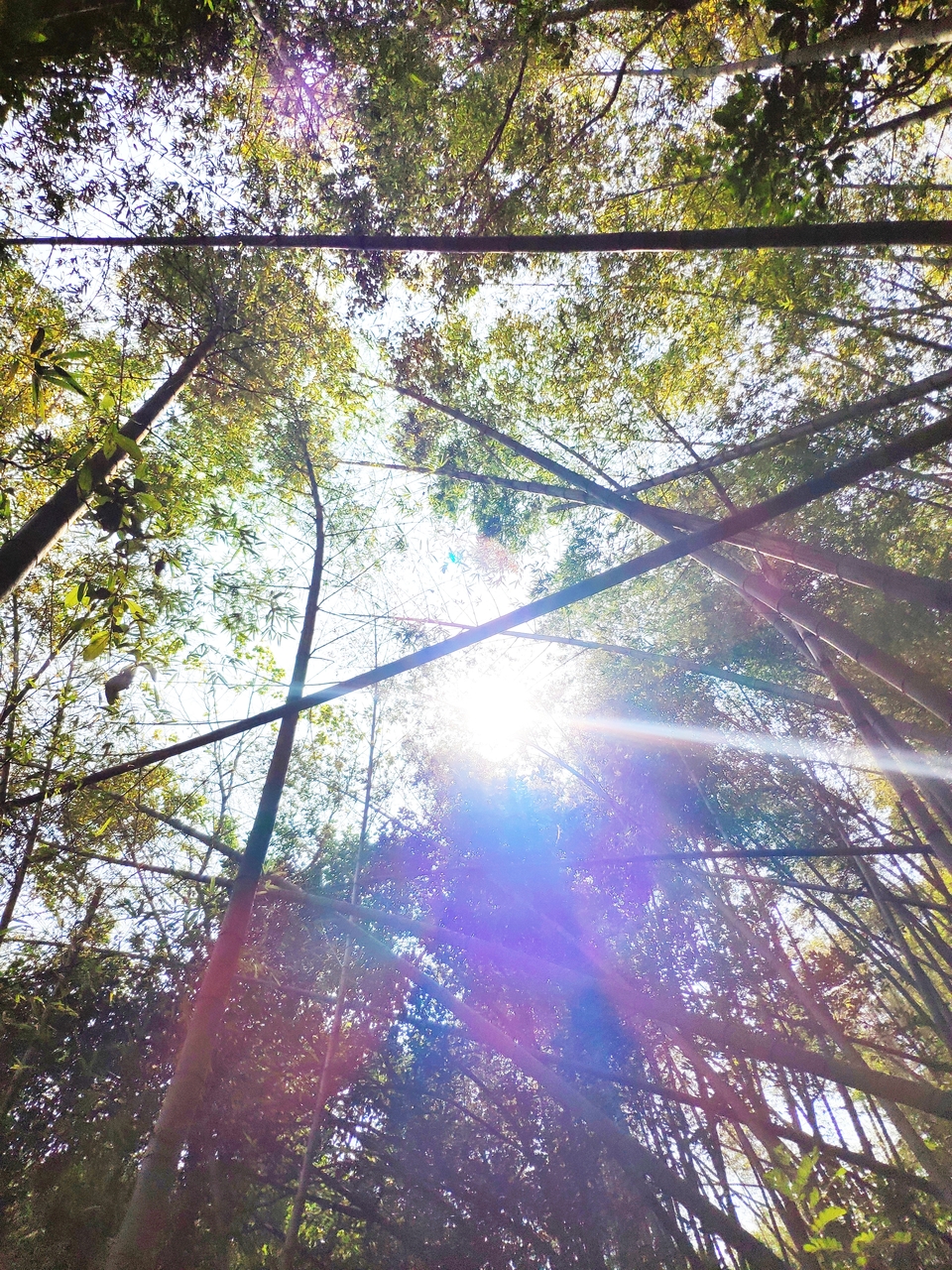 tBIuBMttz2_hlpzOqEv2wbllYe4zkCN7bNYFIw0OIHhkrKFy7DO65wpc9mYnf1IG