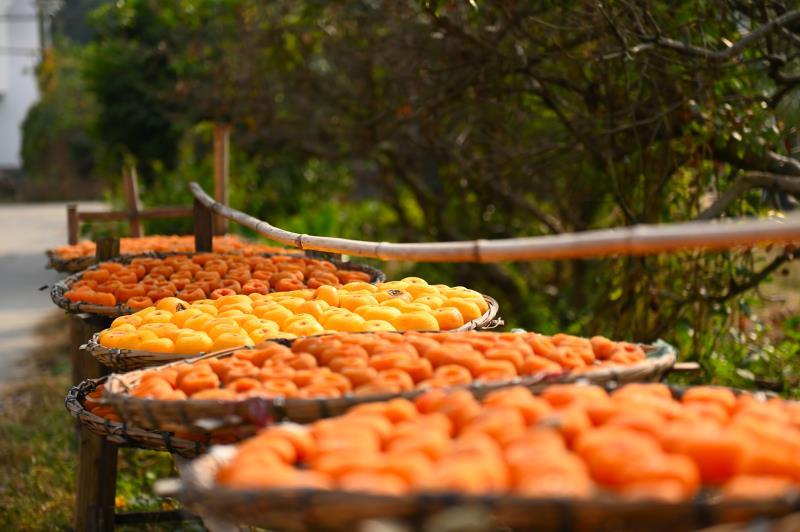 M3kQsVnG0oxW2Q3T-fROlVvAP-DnCjliGSL97LQQeRyABbzK2-a-HAlhpMbT19Ba